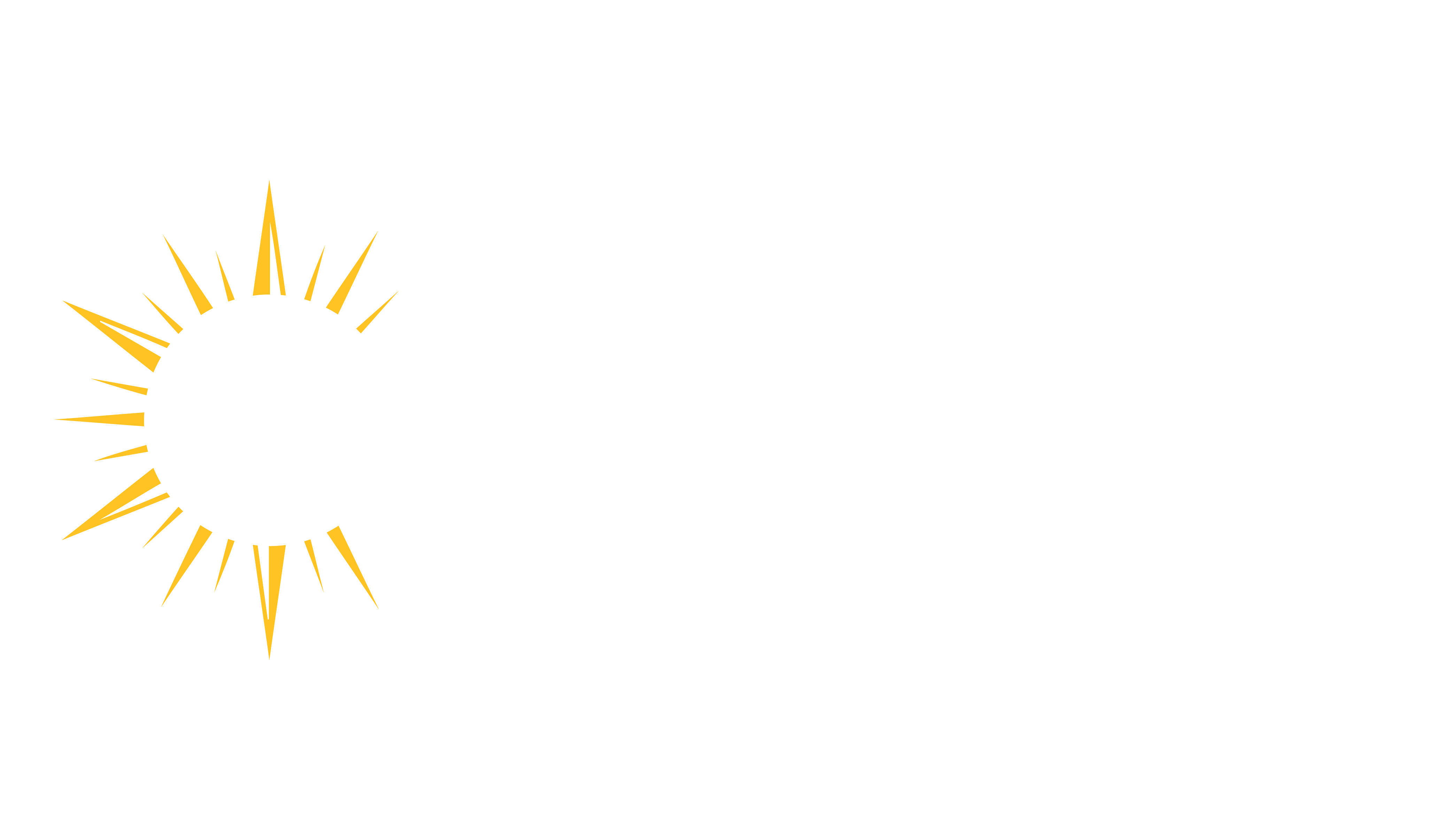 OneVision Logo White and Yellow